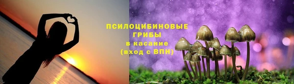 MDMA Богородск