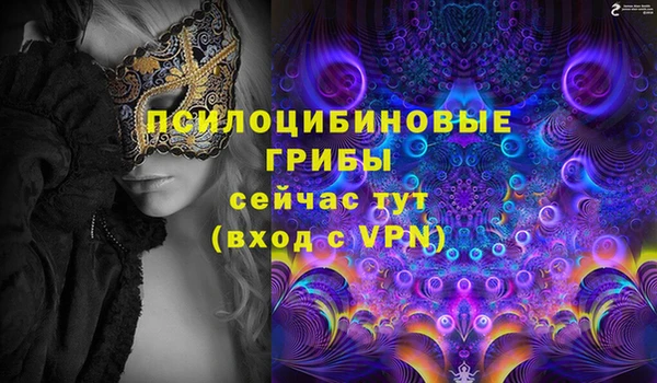 мяу мяу мука Бородино
