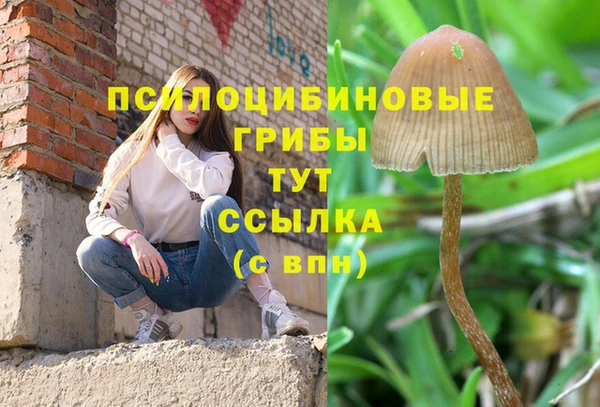 синтетический гашиш Бронницы