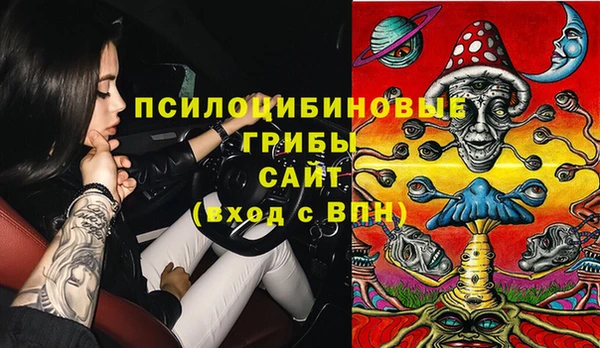 таблы Билибино